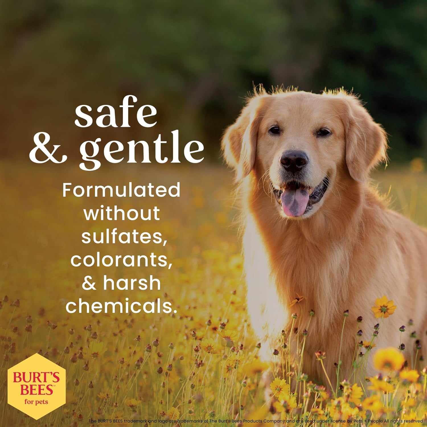 waterless dog shampoo spray