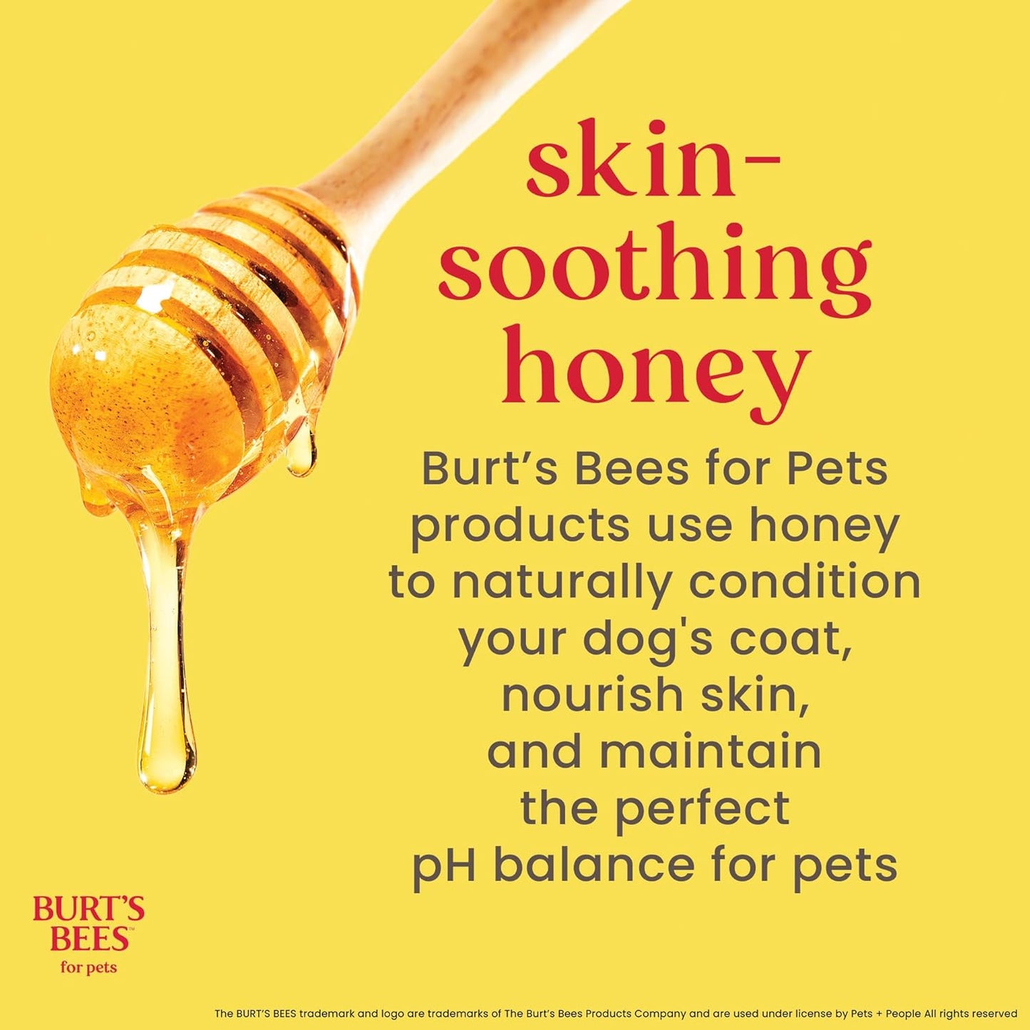 waterless dog shampoo spray