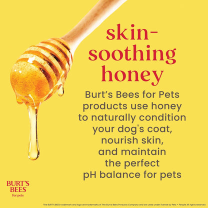 waterless dog shampoo spray